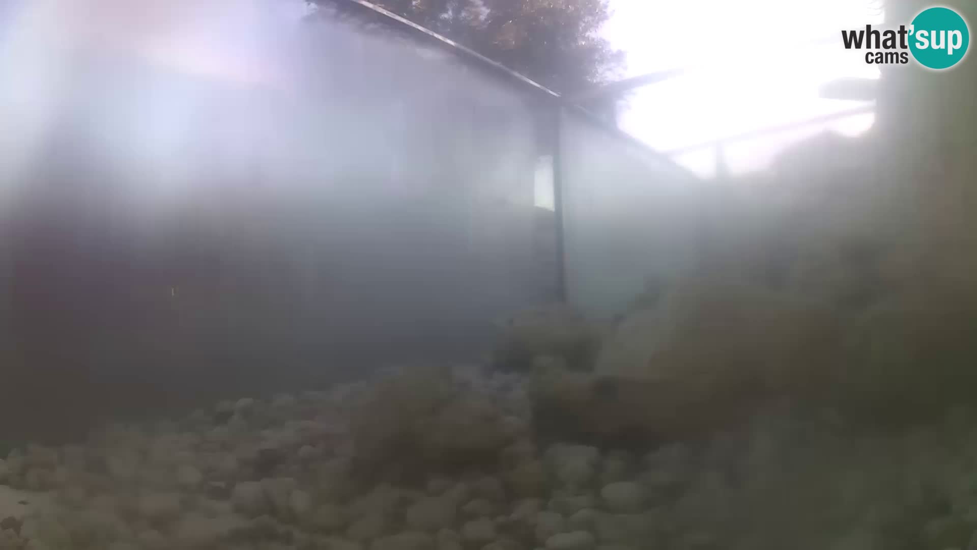 Webcam de l’aquarium marin extérieur de Rogoznica Croatie