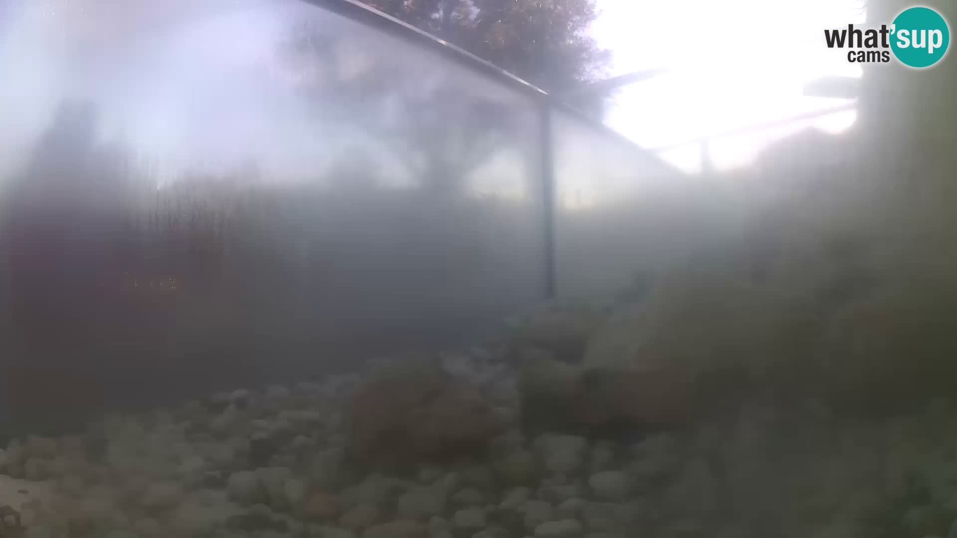 Outdoor Marine Aquarium Rogoznica webcam Croatia