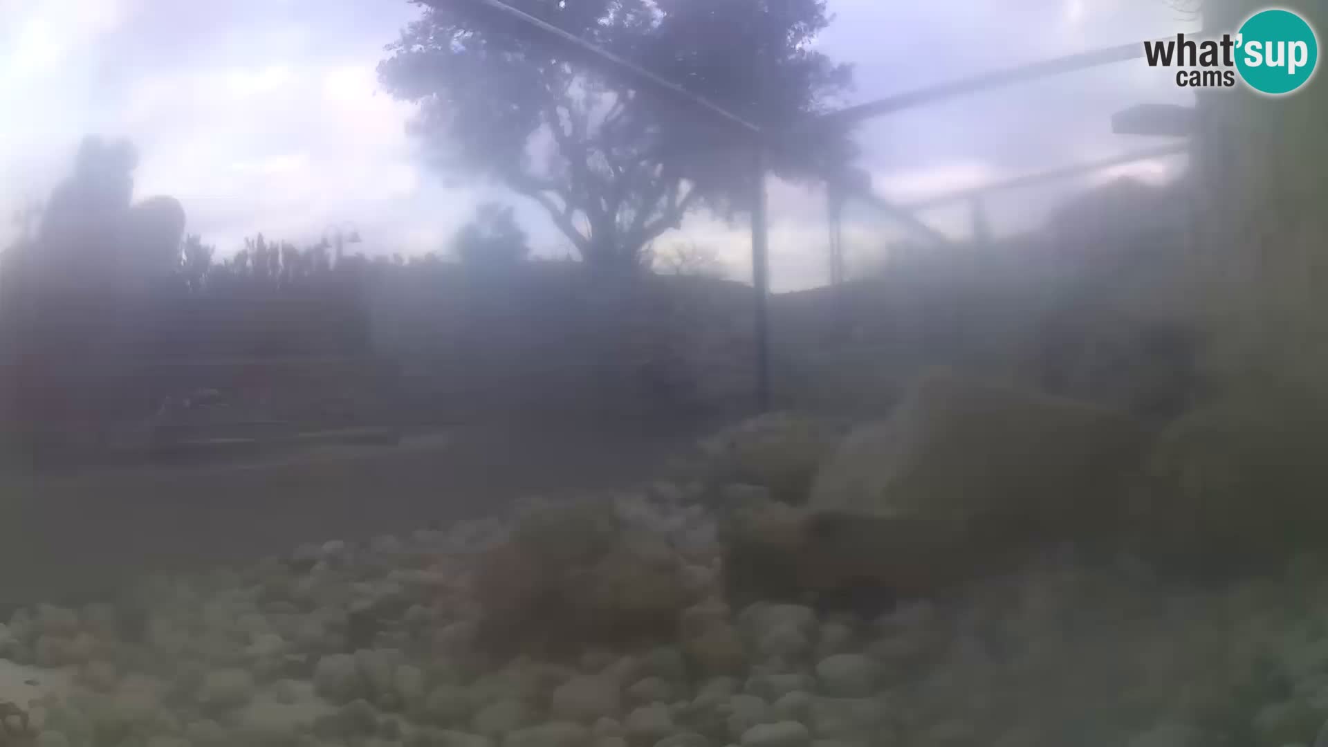 Acuario marino al aire libre Rogoznica webcam Croacia