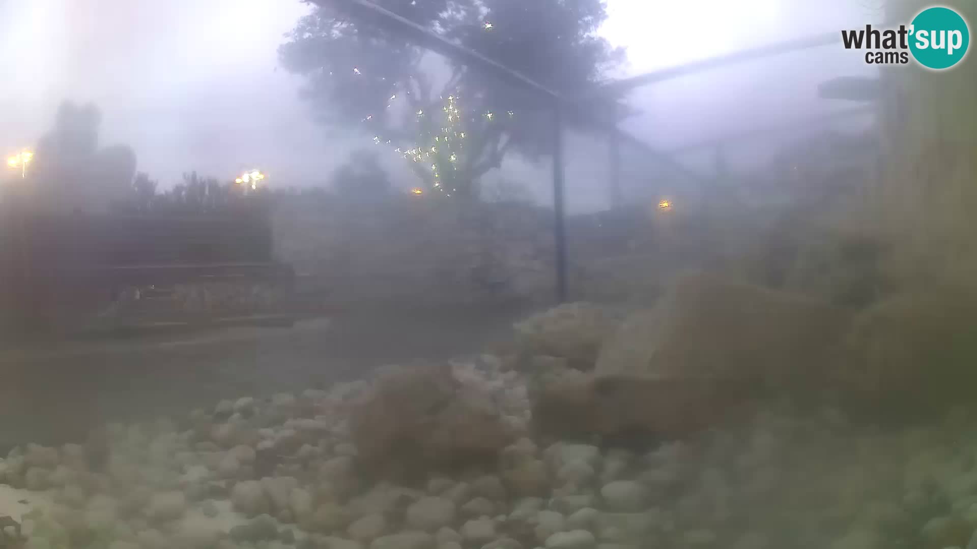 Webcam de l’aquarium marin extérieur de Rogoznica Croatie