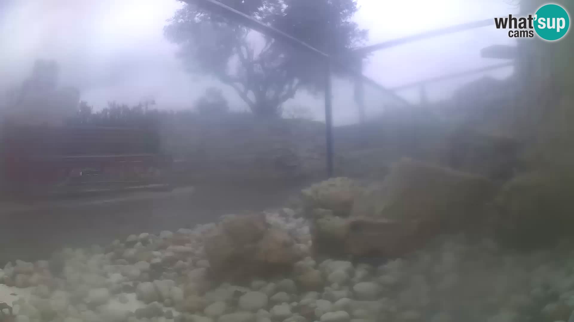 Aquario marino esterno –  Rogoznica livecam Croazia