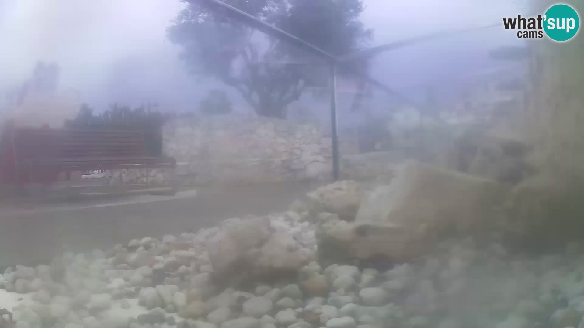 Outdoor Marine Aquarium Rogoznica webcam Croatia