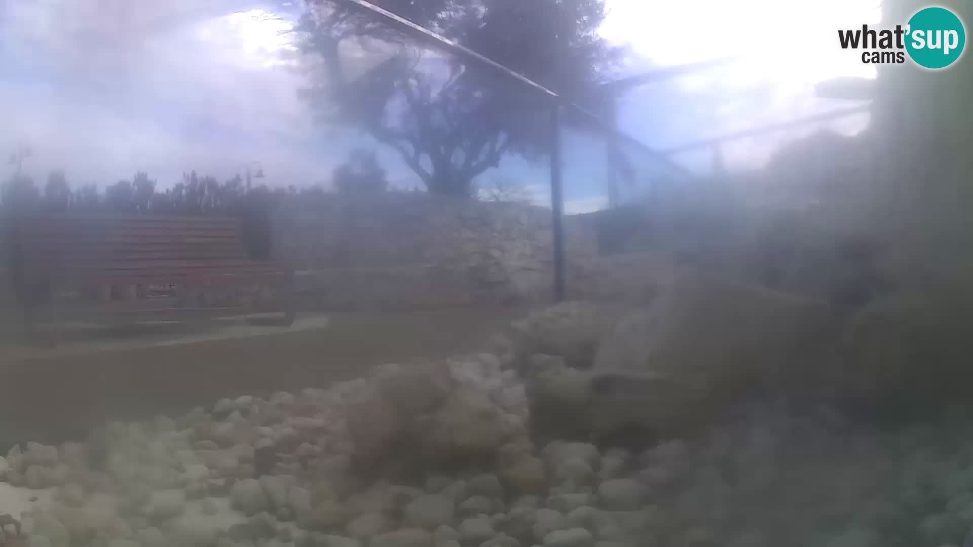 Outdoor Marine Aquarium Rogoznica webcam Croatia