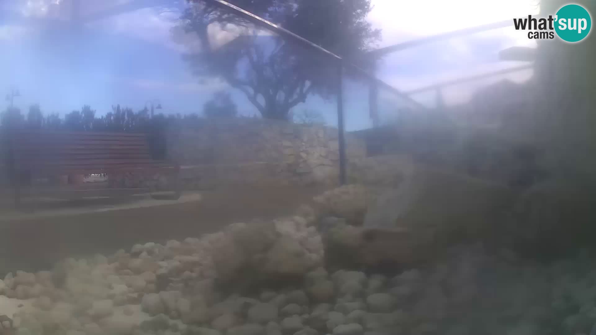 Webcam de l’aquarium marin extérieur de Rogoznica Croatie