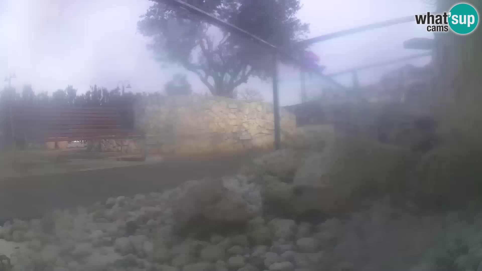 Outdoor Marine Aquarium Rogoznica webcam Croatia