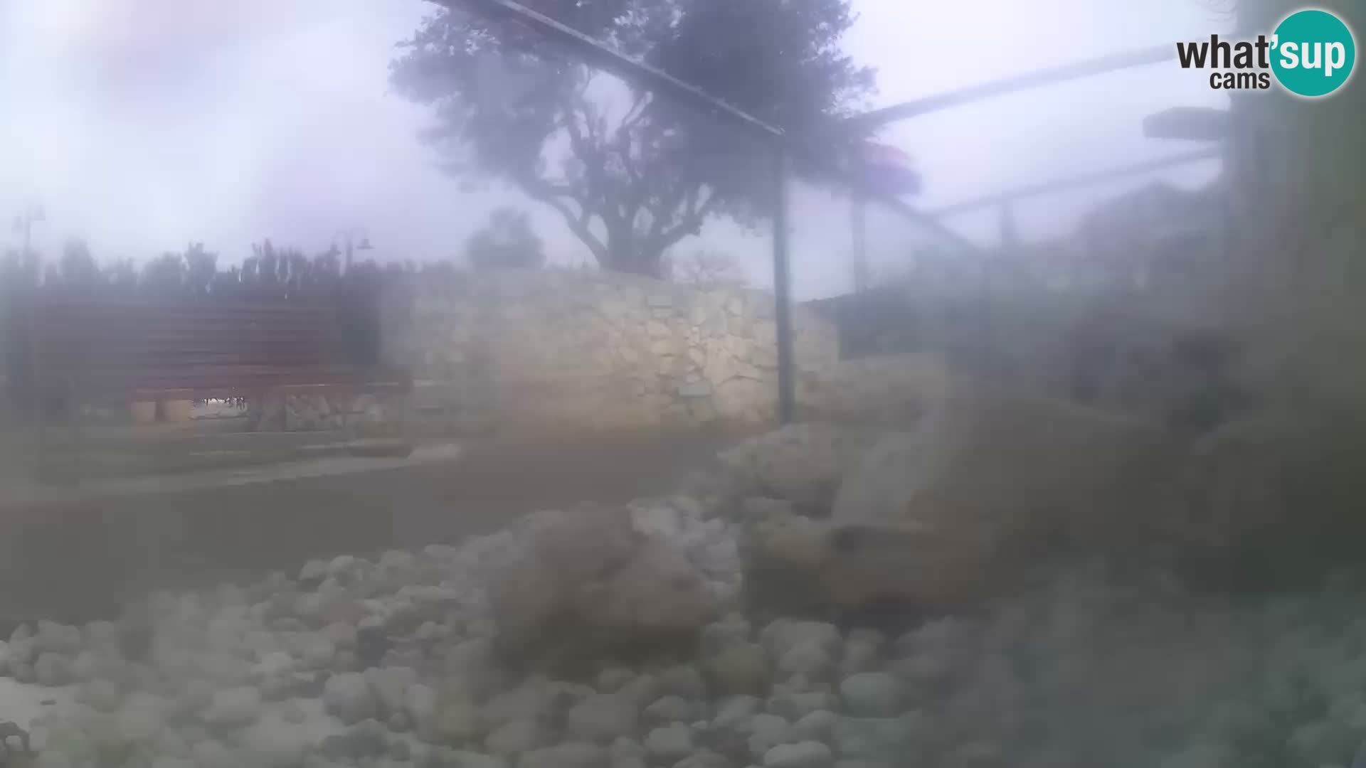 Outdoor Marine Aquarium Rogoznica webcam Croatia