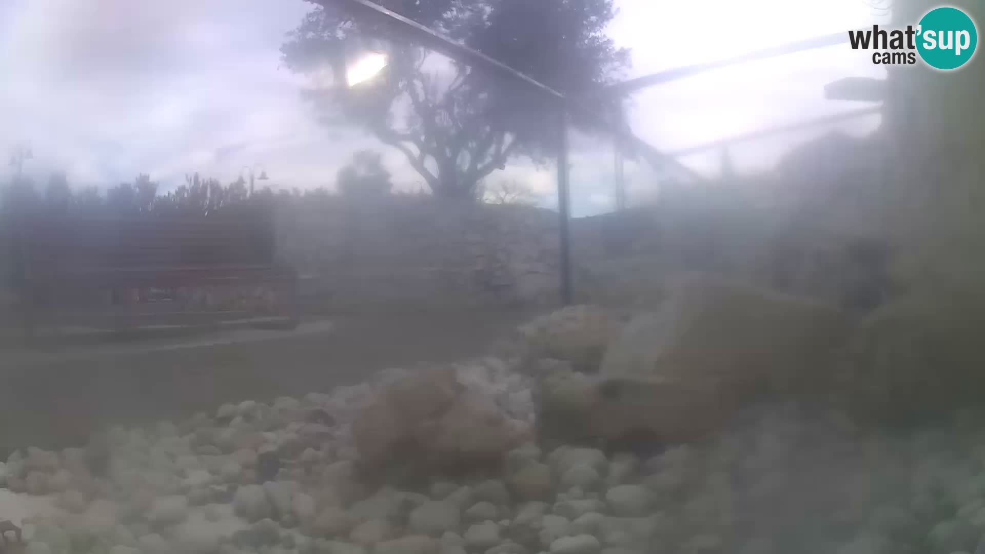 Webcam de l’aquarium marin extérieur de Rogoznica Croatie