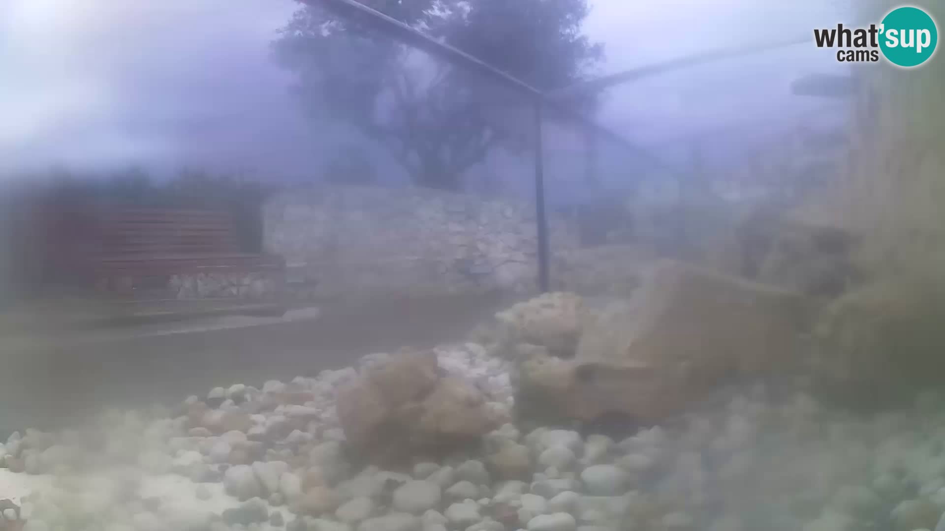 Outdoor Marine Aquarium Rogoznica webcam Croatia