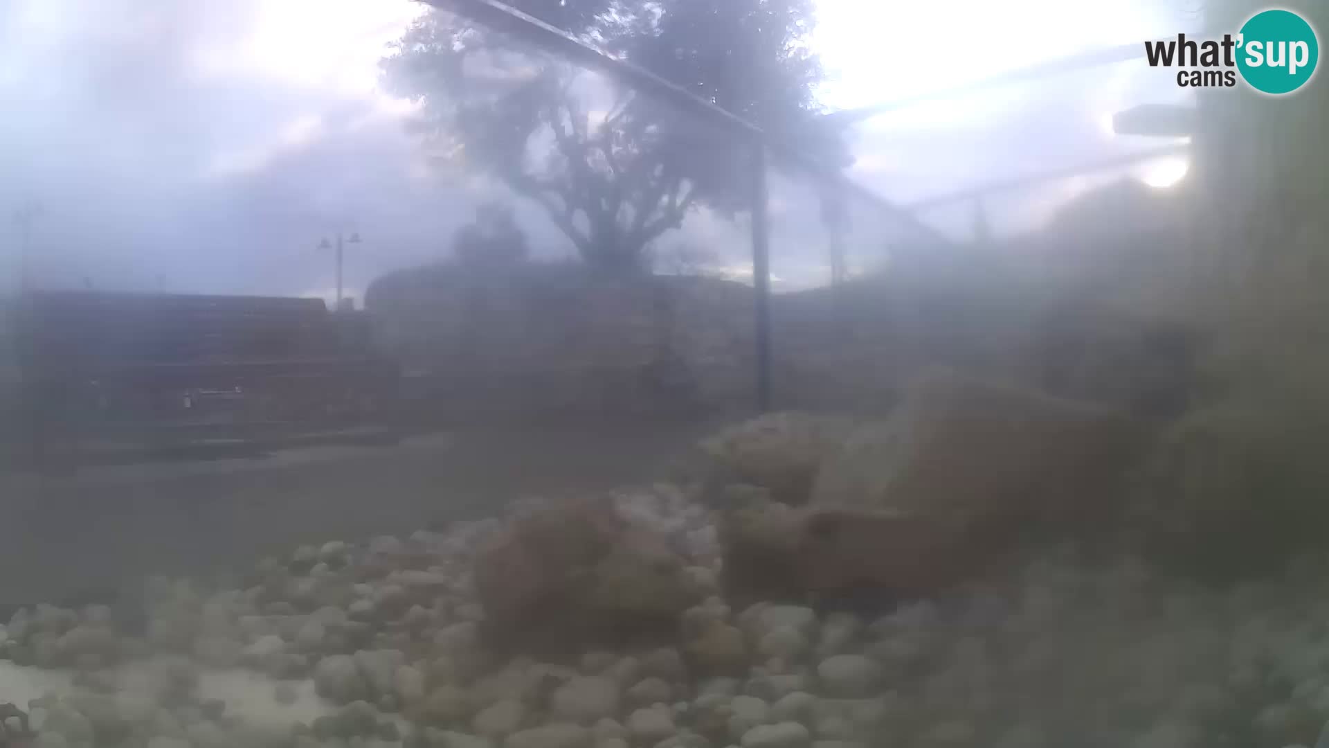 Aquario marino esterno –  Rogoznica livecam Croazia