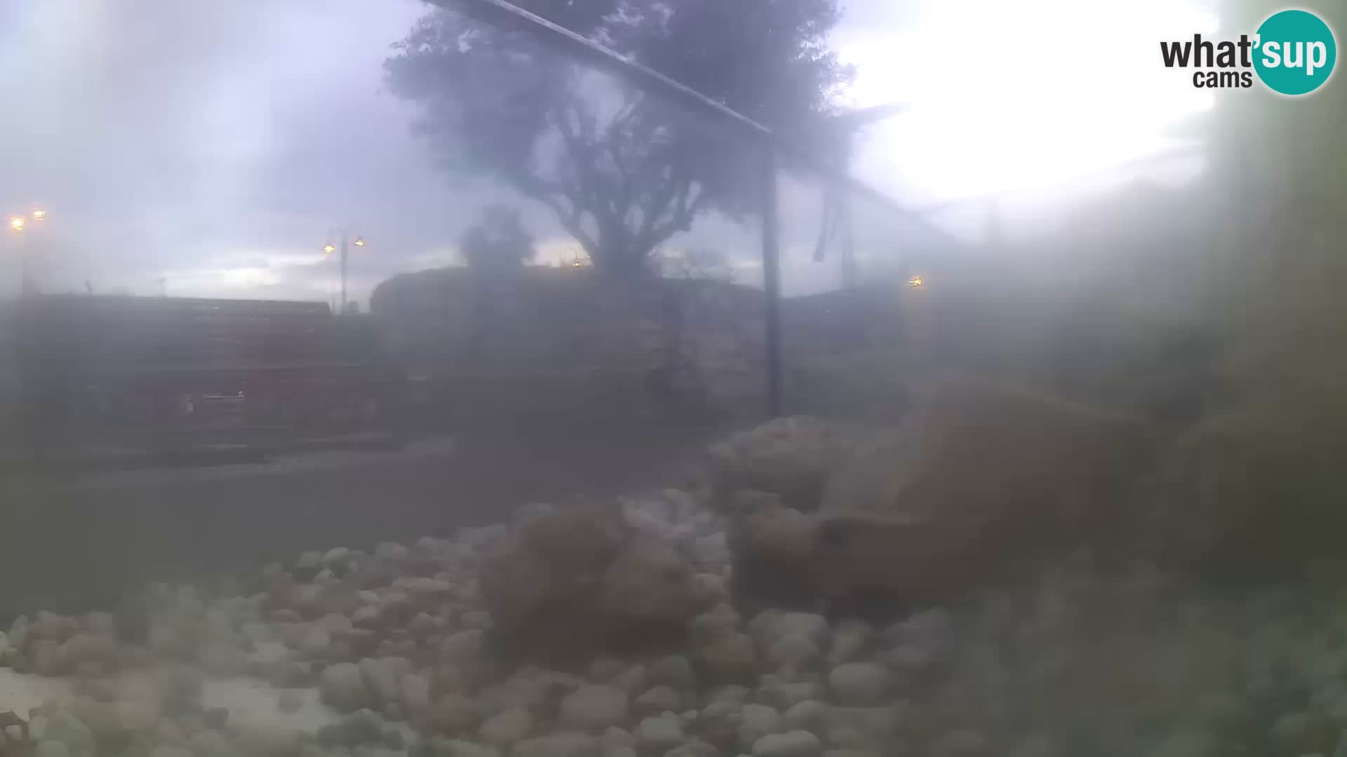 Aquario marino esterno –  Rogoznica livecam Croazia