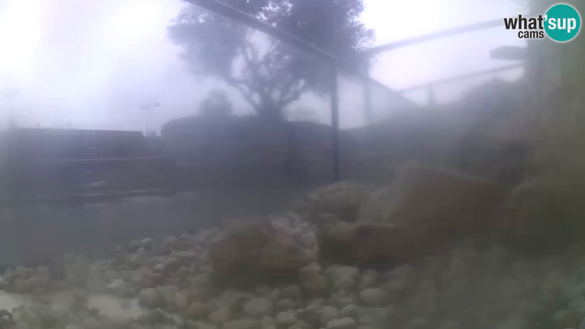 Outdoor Marine Aquarium Rogoznica webcam Croatia