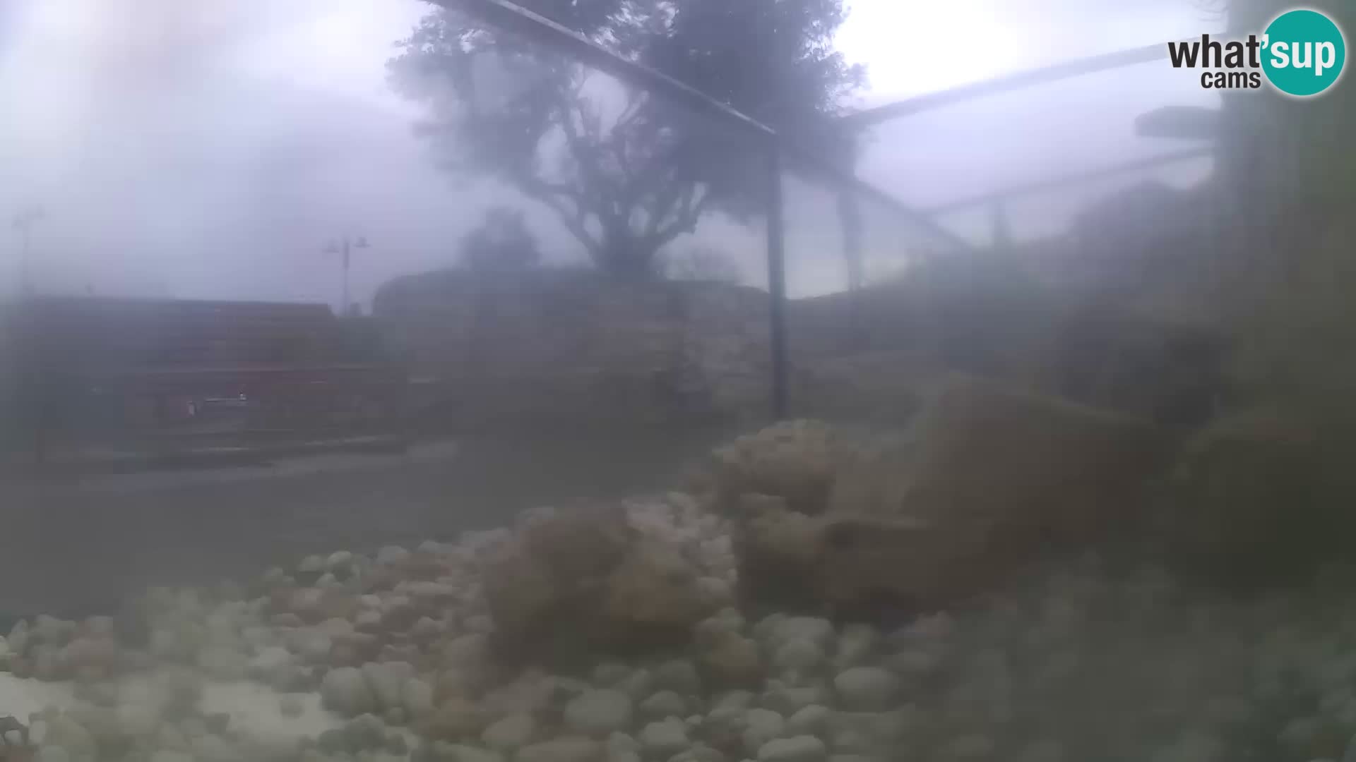 Outdoor Marine Aquarium Rogoznica webcam Croatia