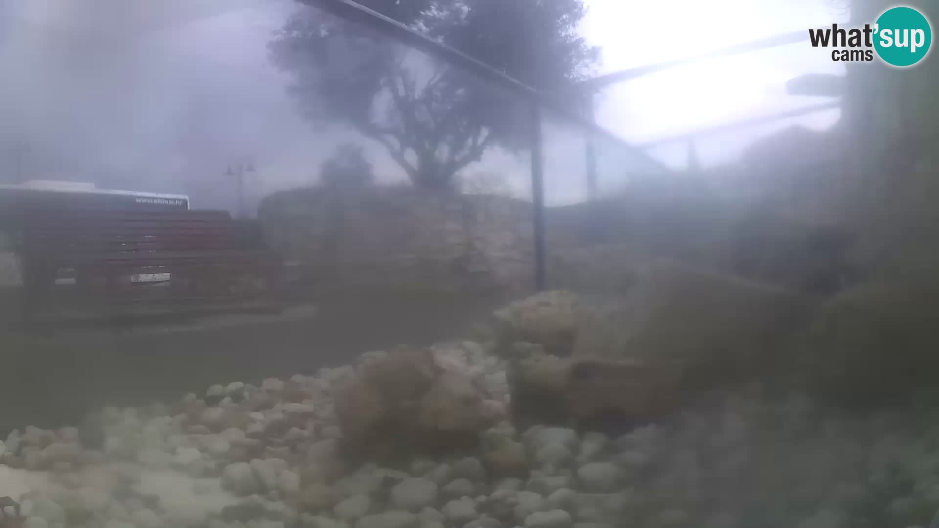 Outdoor Marine Aquarium Rogoznica webcam Croatia