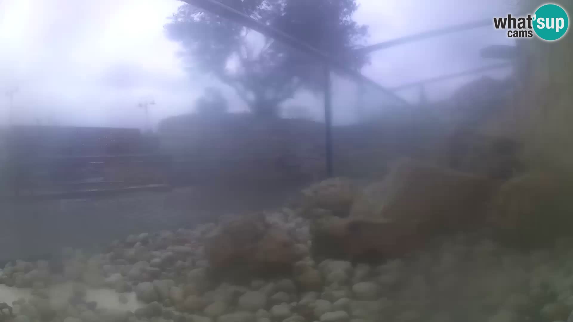 Webcam de l’aquarium marin extérieur de Rogoznica Croatie