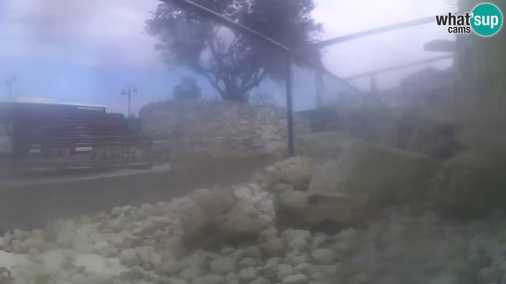 Outdoor Marine Aquarium Rogoznica webcam Croatia