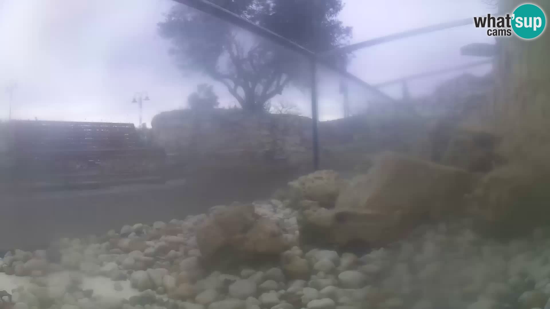 Webcam de l’aquarium marin extérieur de Rogoznica Croatie