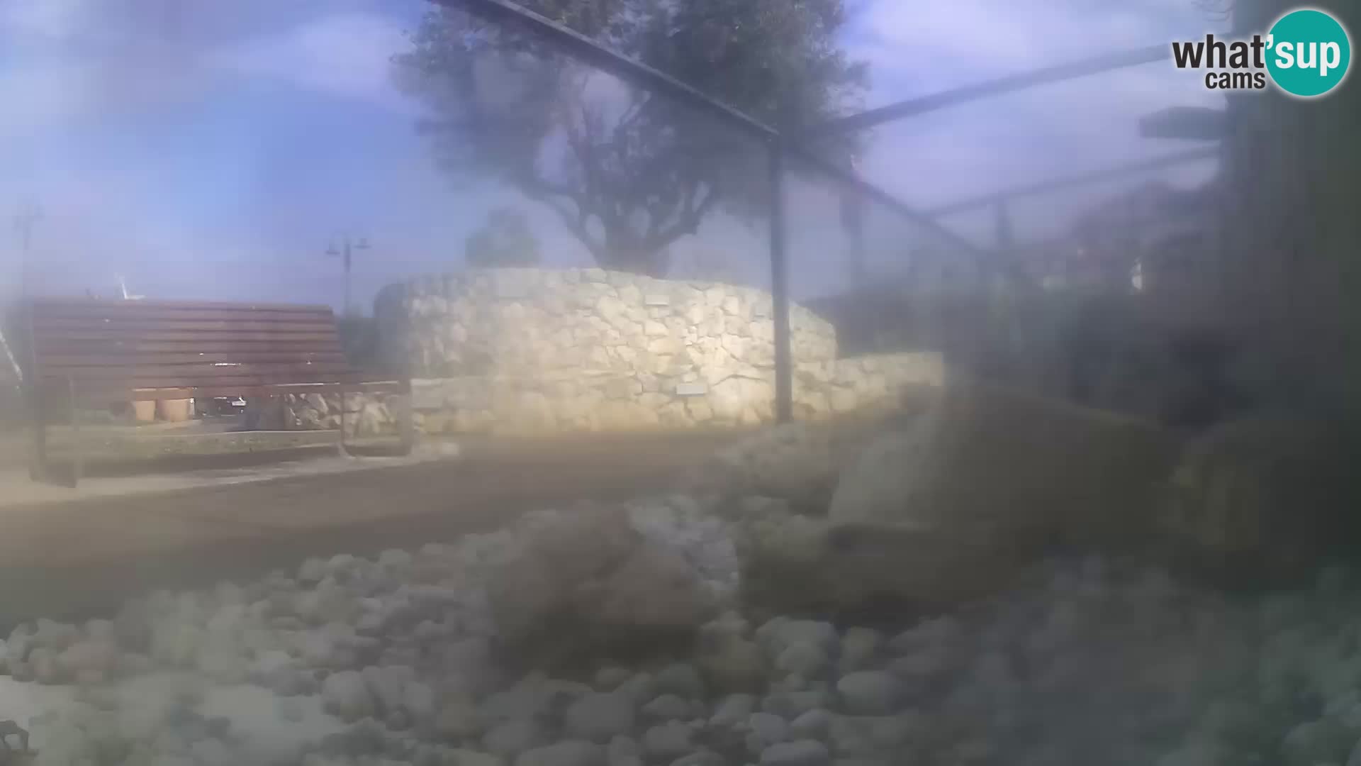 Aquario marino esterno –  Rogoznica livecam Croazia