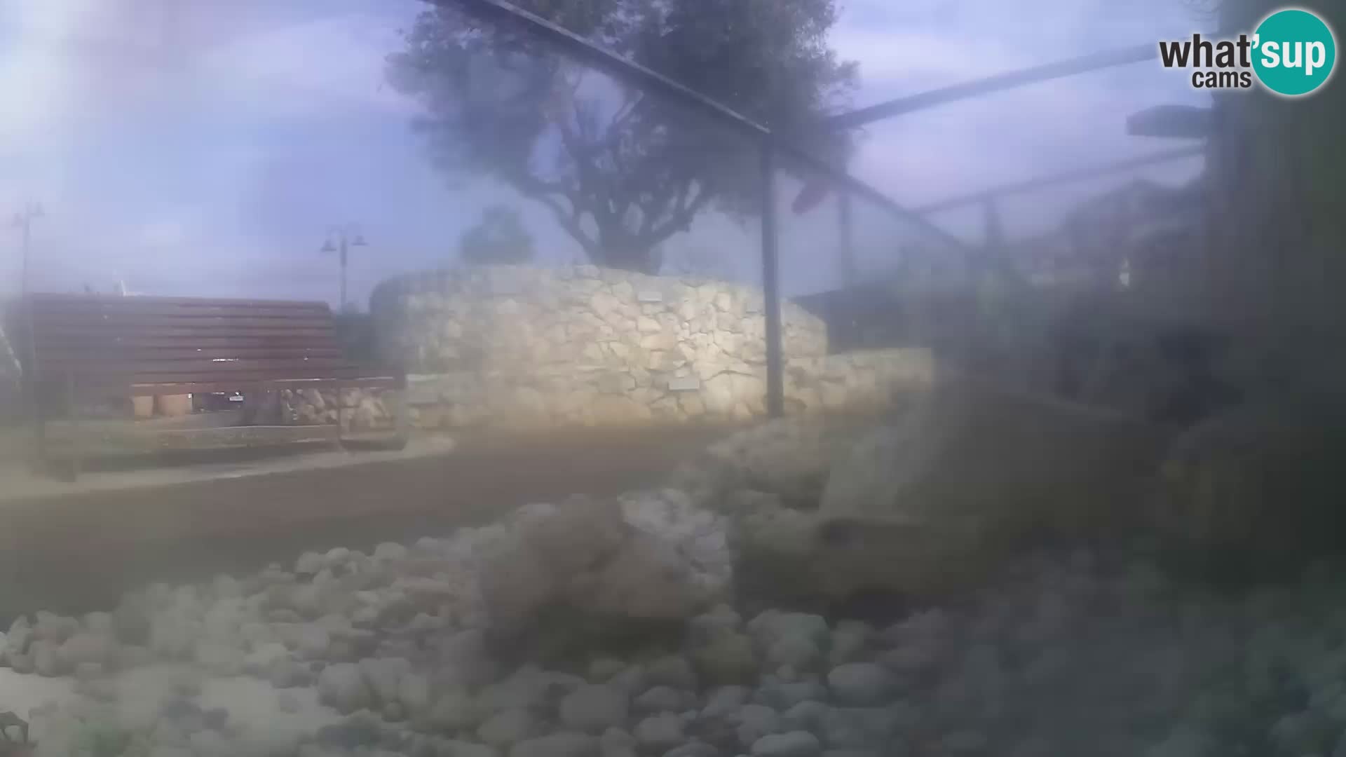 Marine Aquarium im Freien Rogoznica webcam Kroatien