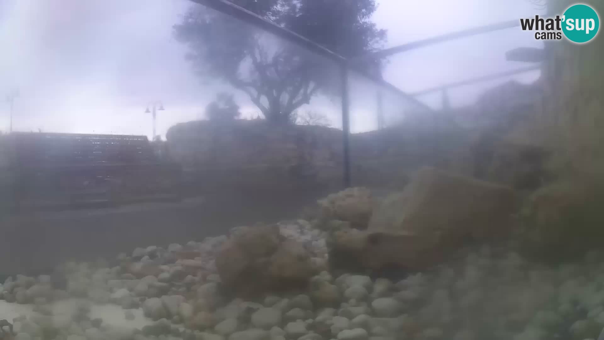 Aquario marino esterno –  Rogoznica livecam Croazia