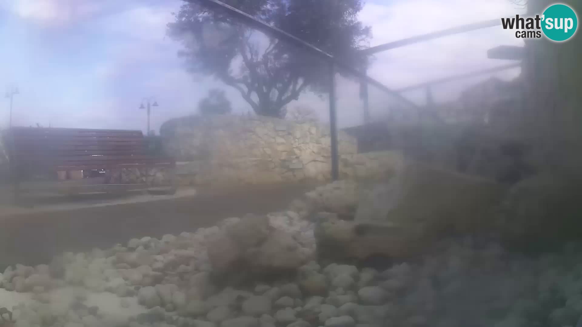 Outdoor Marine Aquarium Rogoznica webcam Croatia