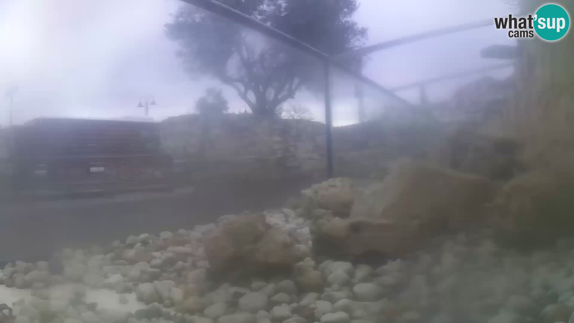 Outdoor Marine Aquarium Rogoznica webcam Croatia