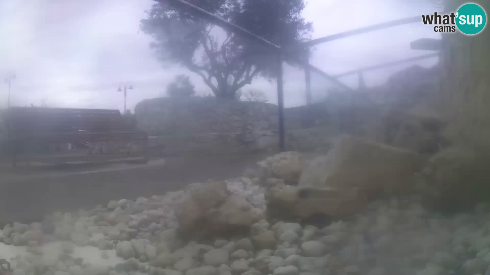 Outdoor Marine Aquarium Rogoznica webcam Croatia