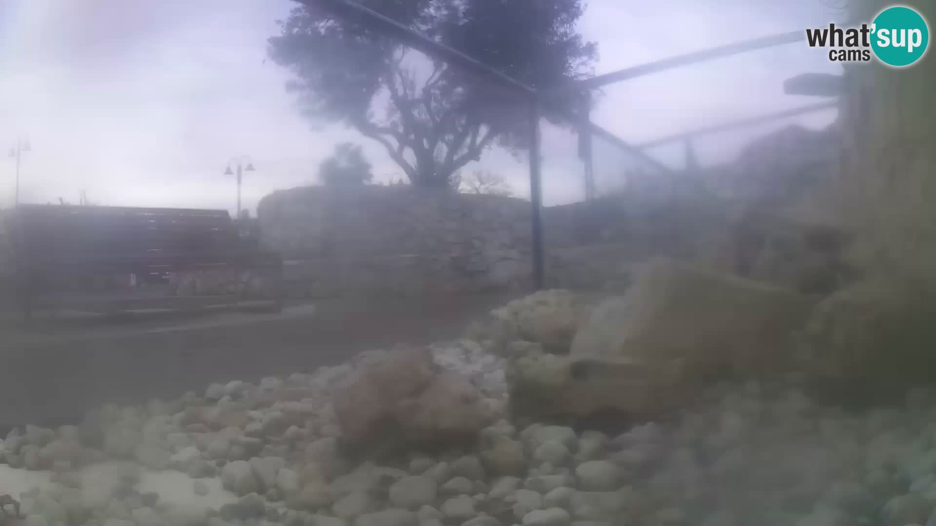 Outdoor Marine Aquarium Rogoznica webcam Croatia