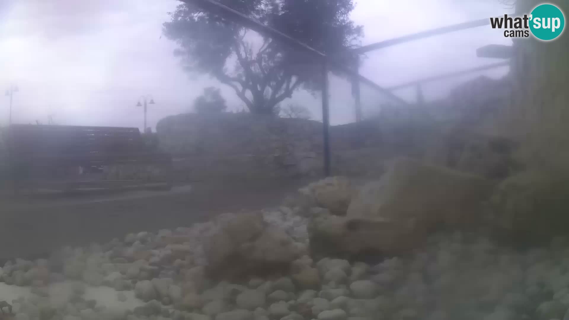 Outdoor Marine Aquarium Rogoznica webcam Croatia