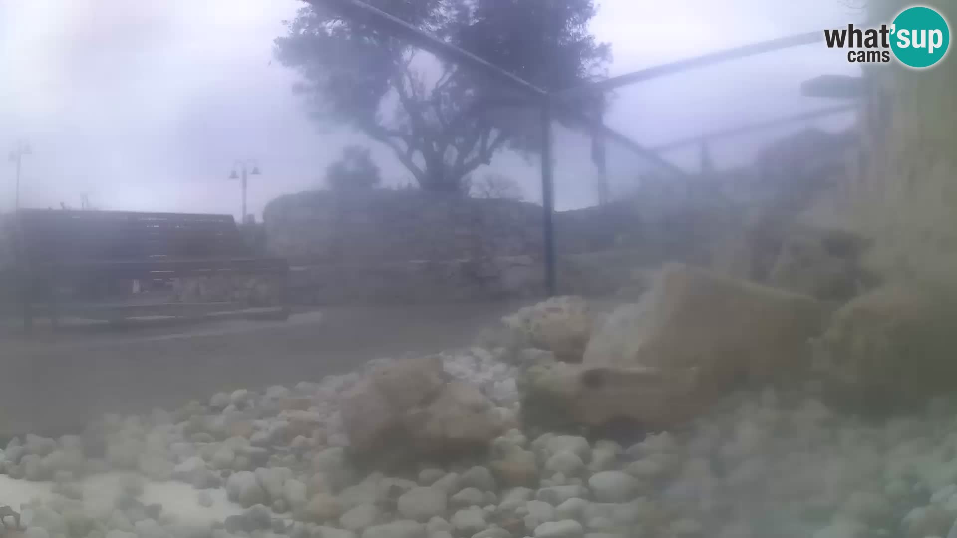 Outdoor Marine Aquarium Rogoznica webcam Croatia