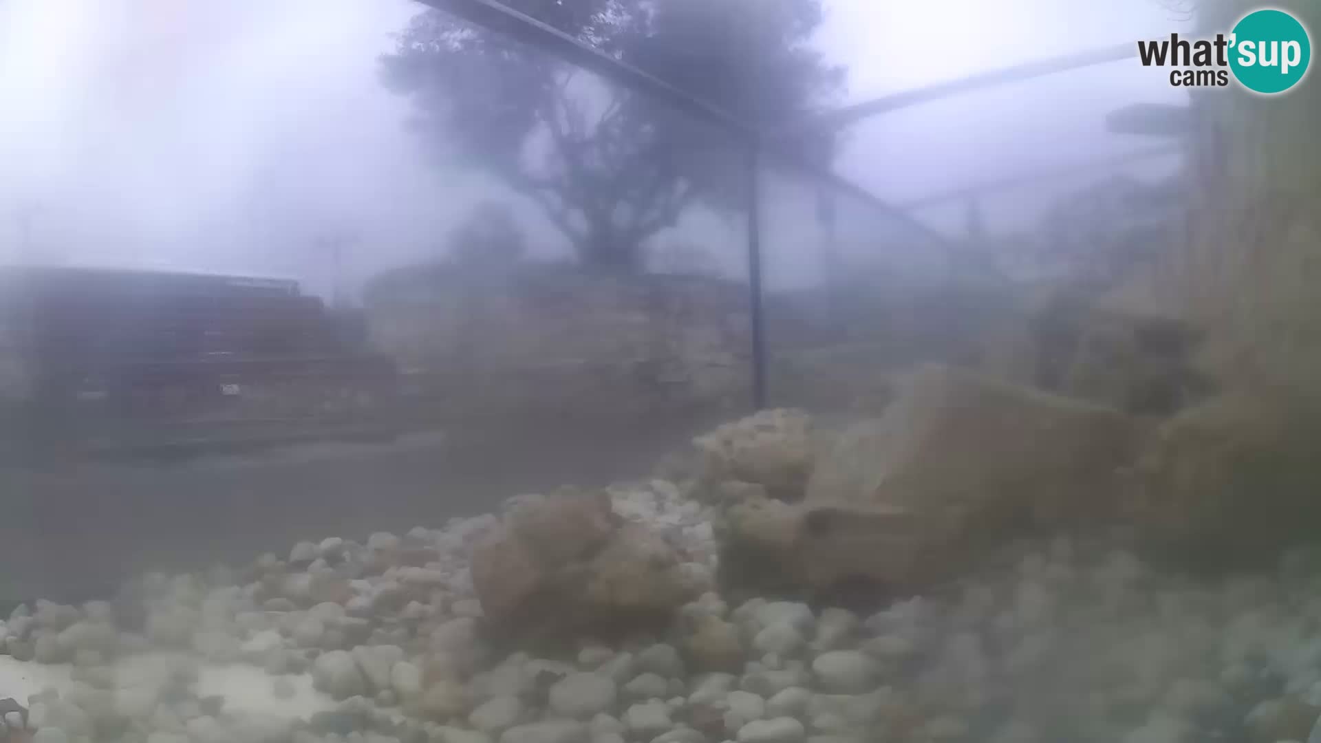 Webcam de l’aquarium marin extérieur de Rogoznica Croatie