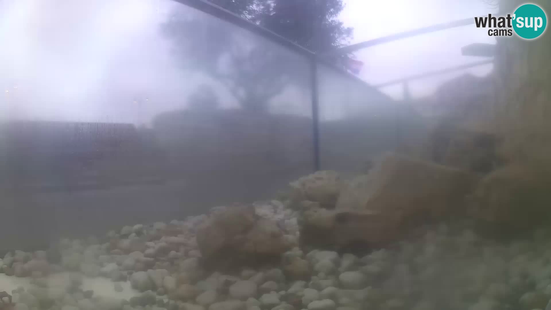 Webcam de l’aquarium marin extérieur de Rogoznica Croatie