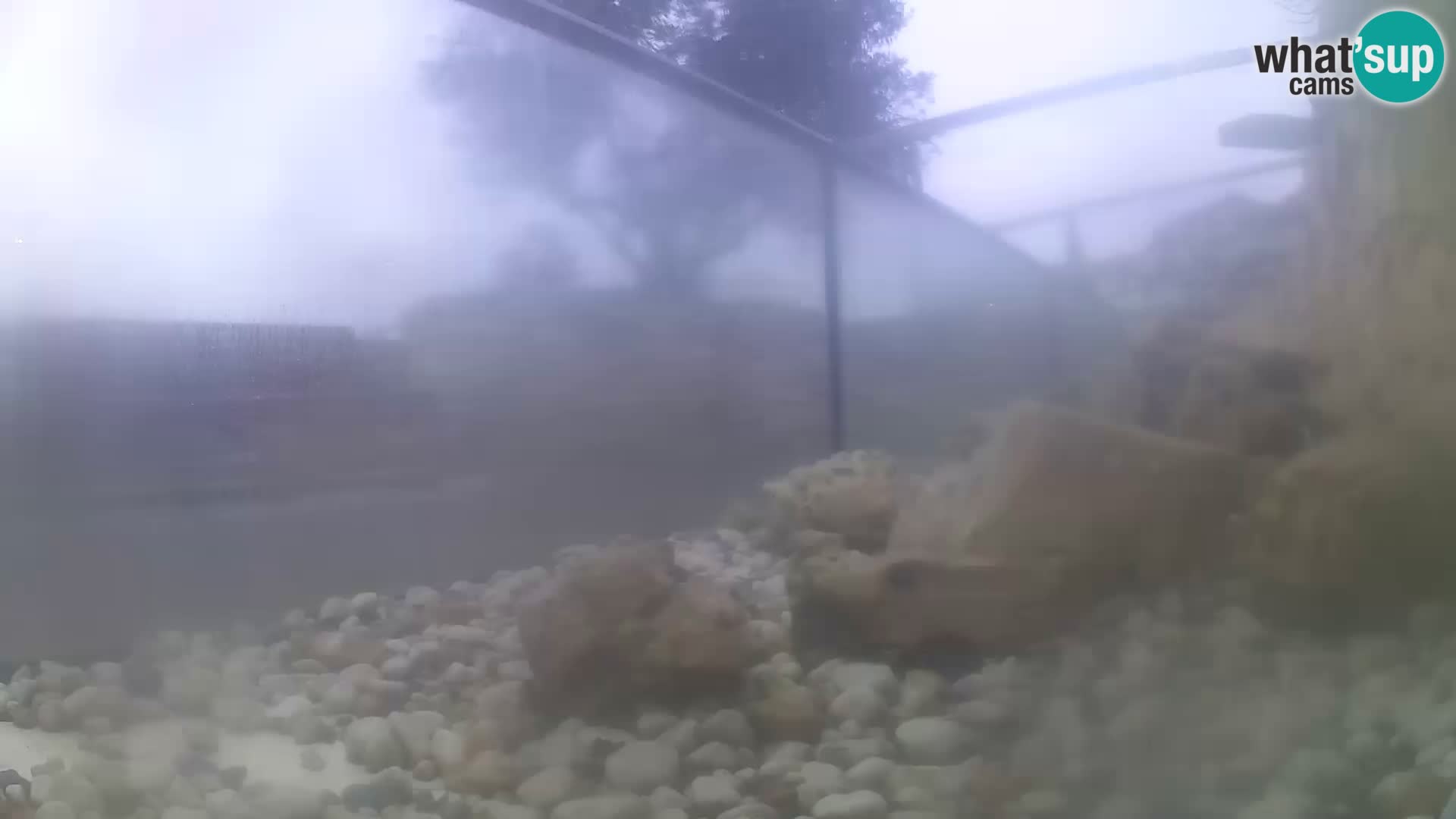 Outdoor Marine Aquarium Rogoznica webcam Croatia