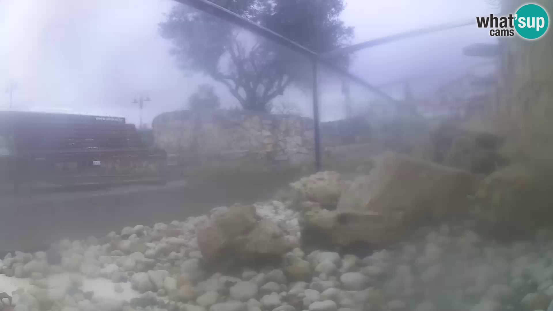 Webcam de l’aquarium marin extérieur de Rogoznica Croatie