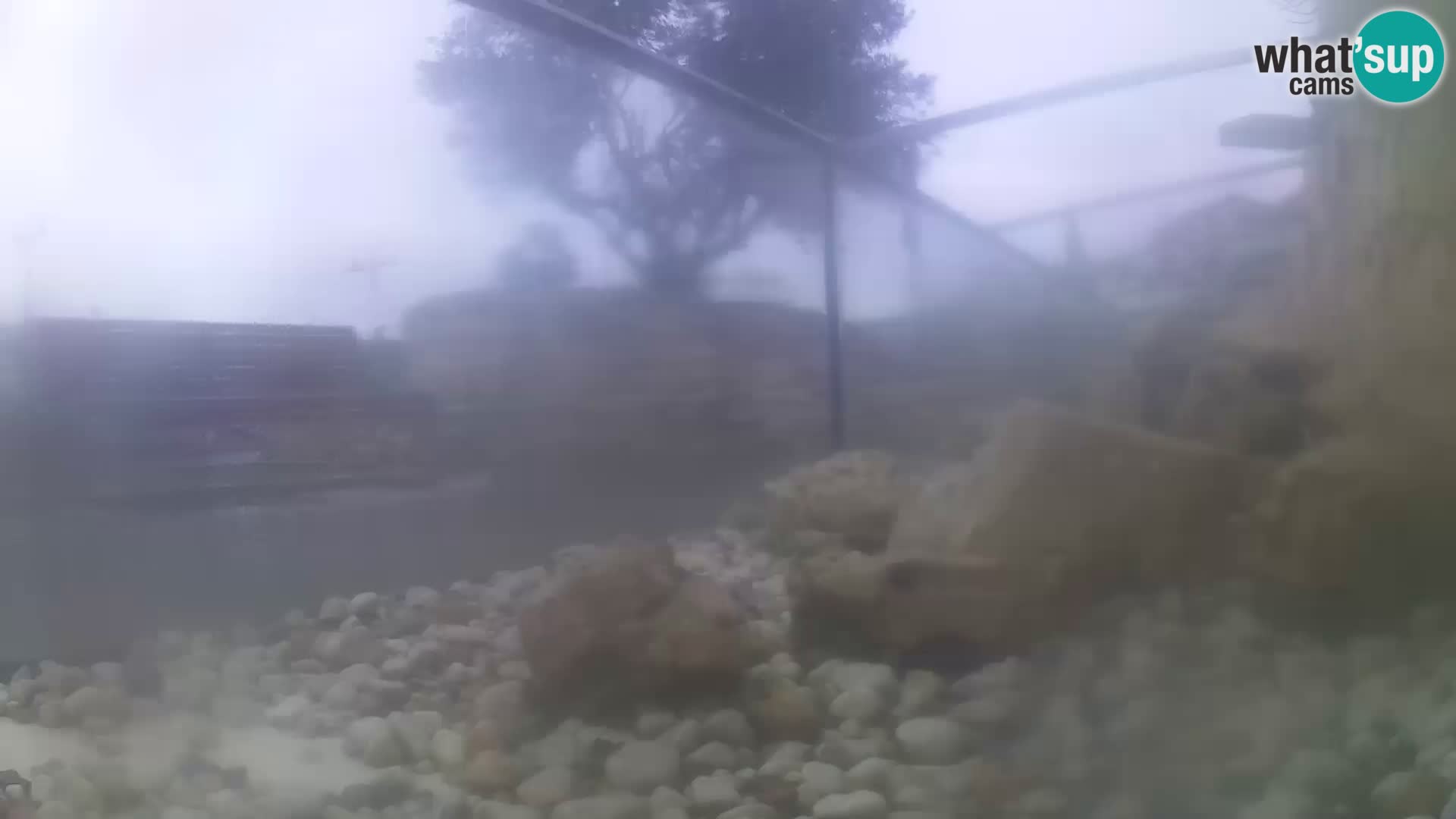 Webcam de l’aquarium marin extérieur de Rogoznica Croatie