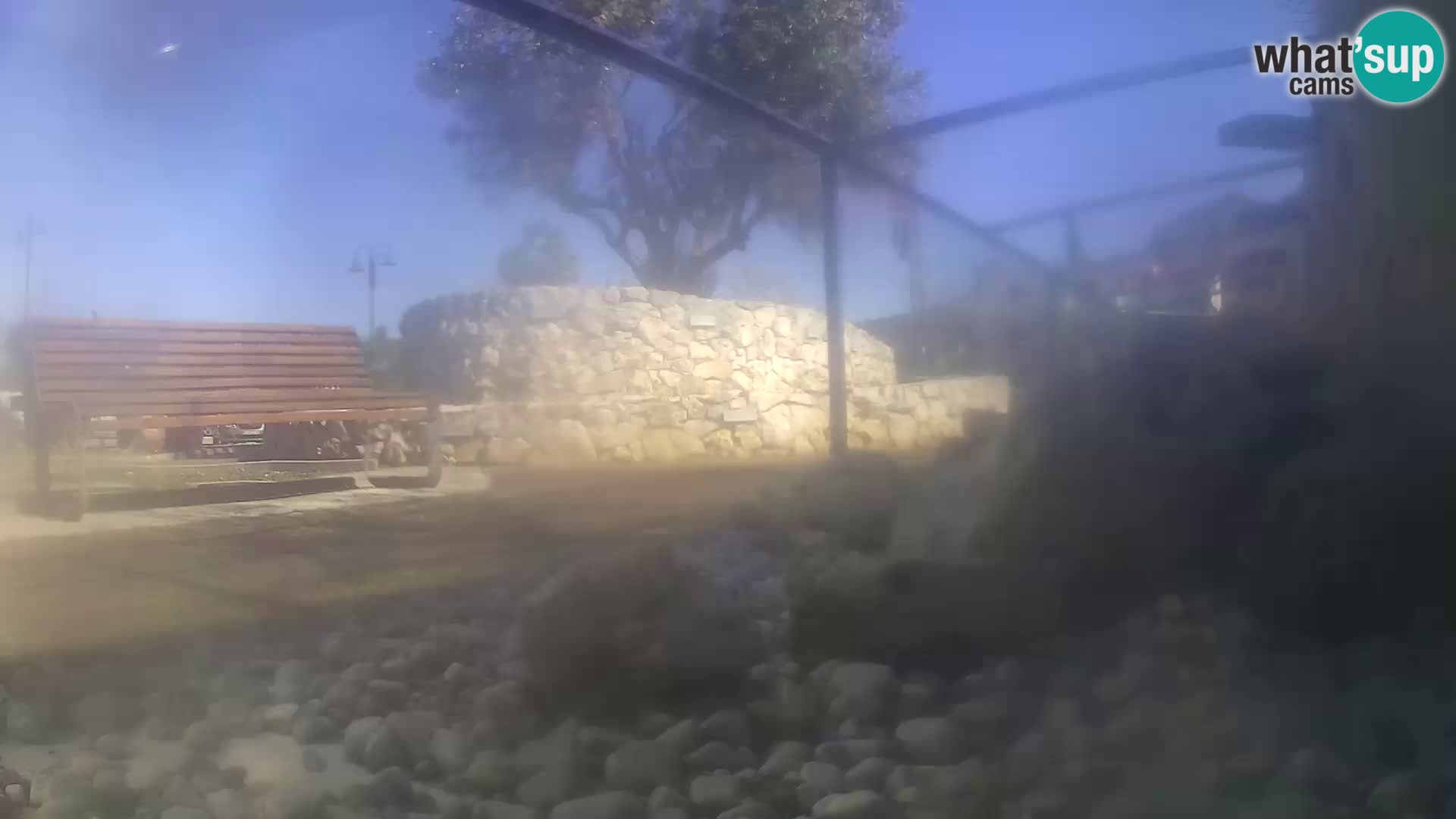 Webcam de l’aquarium marin extérieur de Rogoznica Croatie