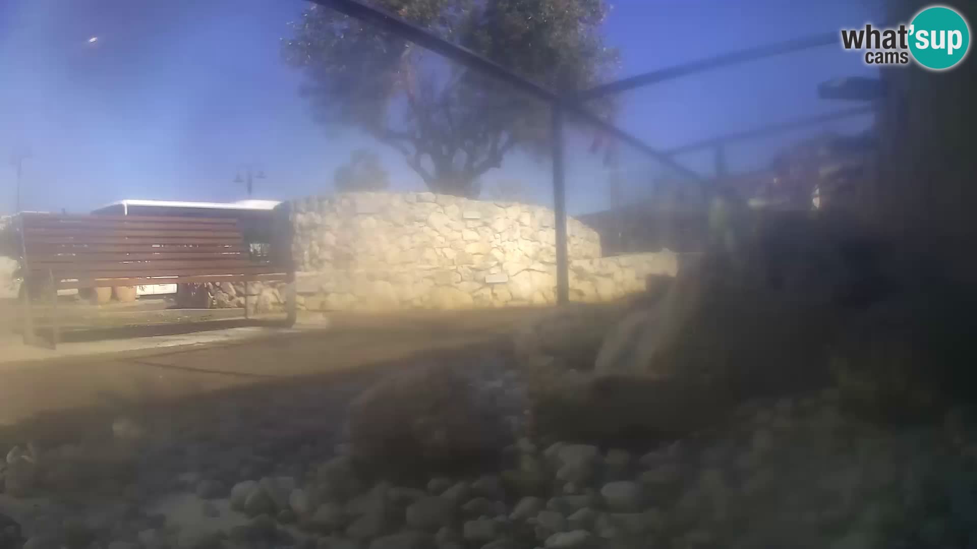 Webcam de l’aquarium marin extérieur de Rogoznica Croatie