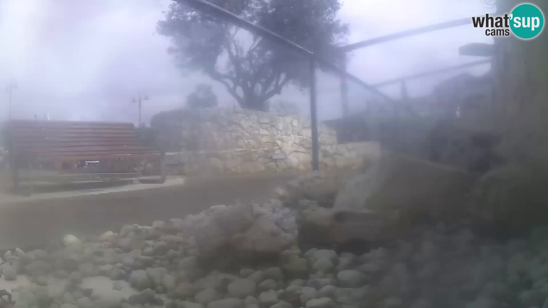 Aquario marino esterno –  Rogoznica livecam Croazia