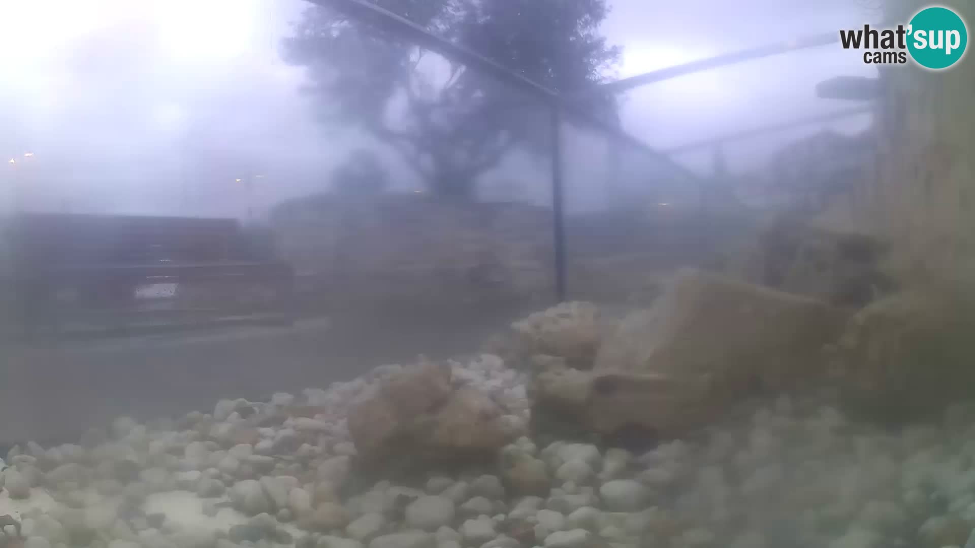 Webcam de l’aquarium marin extérieur de Rogoznica Croatie