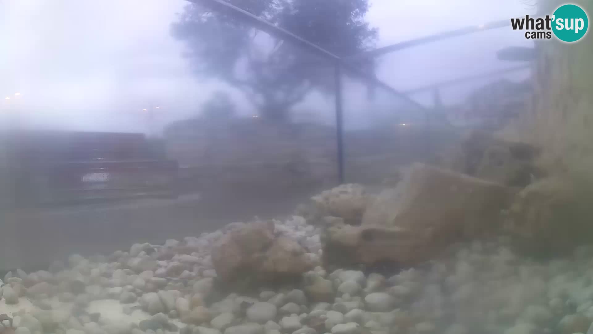 Outdoor Marine Aquarium Rogoznica webcam Croatia