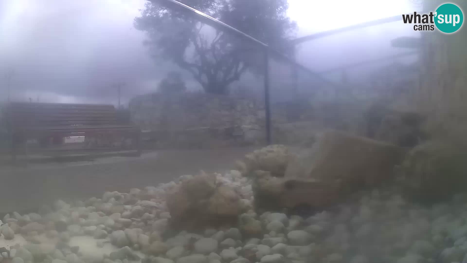 Aquario marino esterno –  Rogoznica livecam Croazia