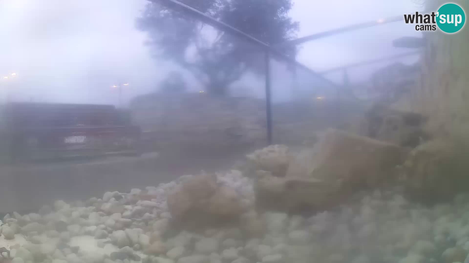 Webcam de l’aquarium marin extérieur de Rogoznica Croatie