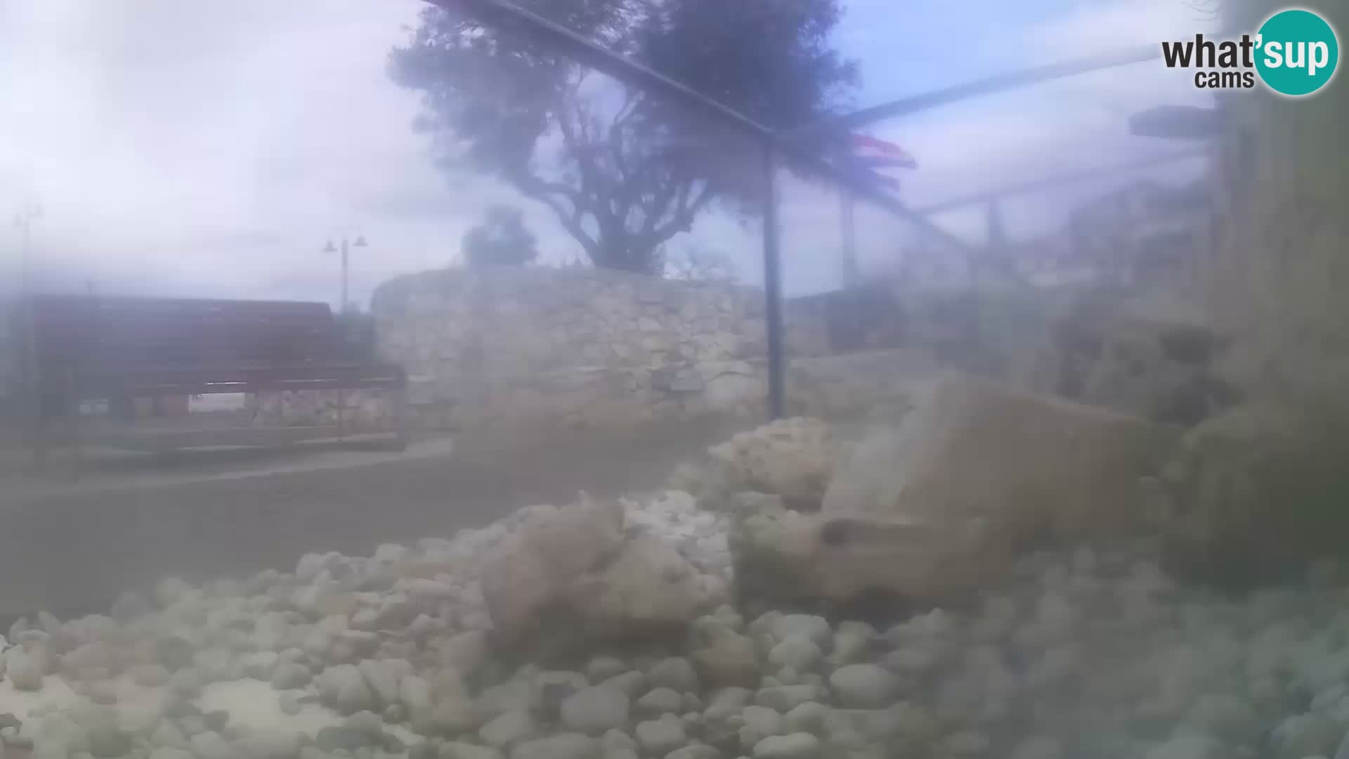 Outdoor Marine Aquarium Rogoznica webcam Croatia