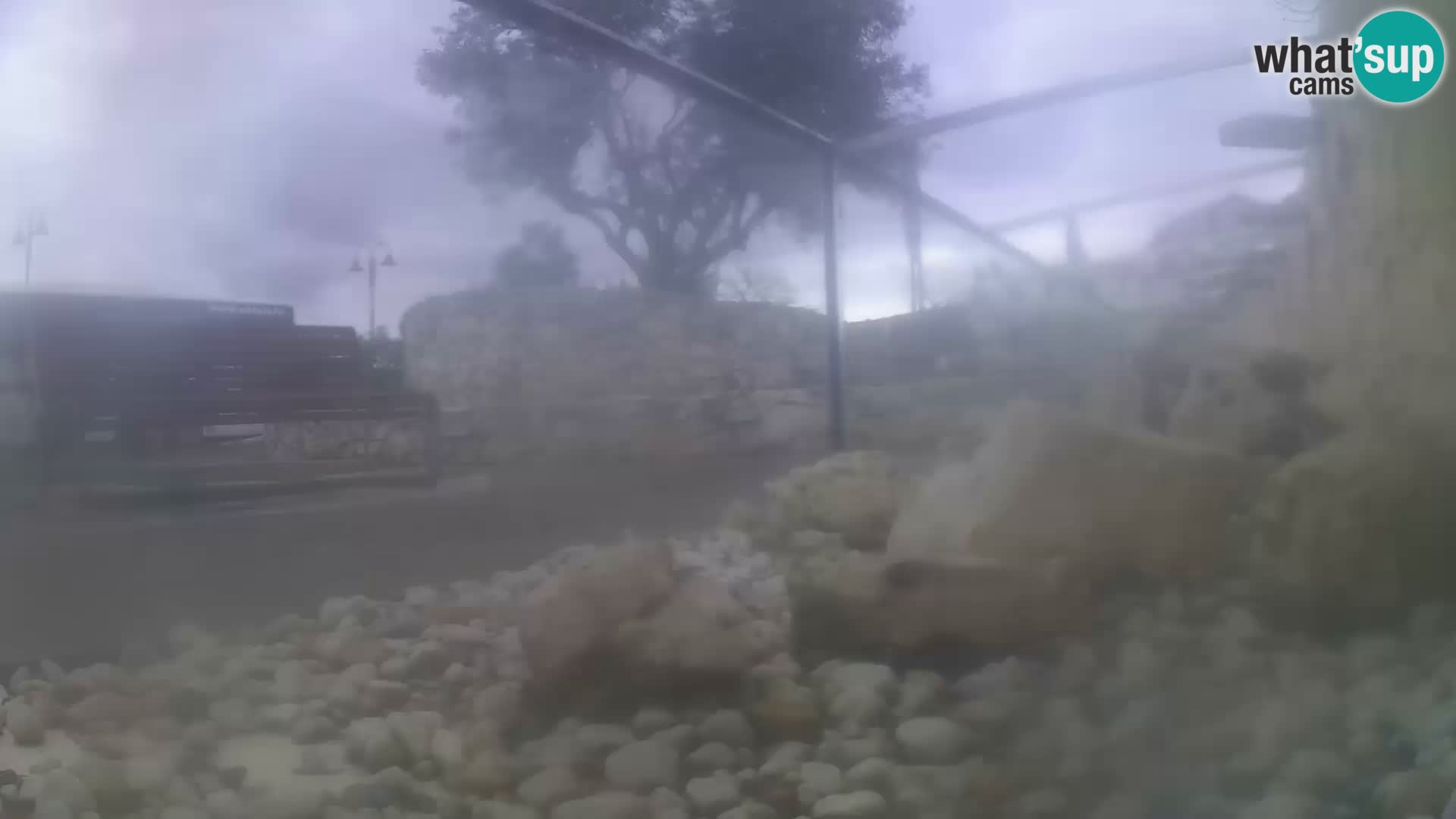 Webcam de l’aquarium marin extérieur de Rogoznica Croatie