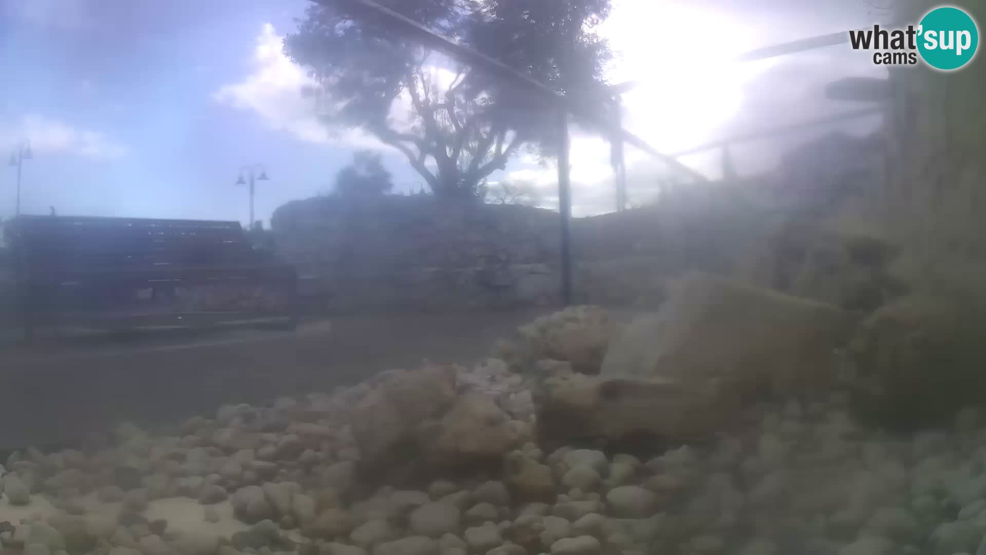 Aquario marino esterno –  Rogoznica livecam Croazia