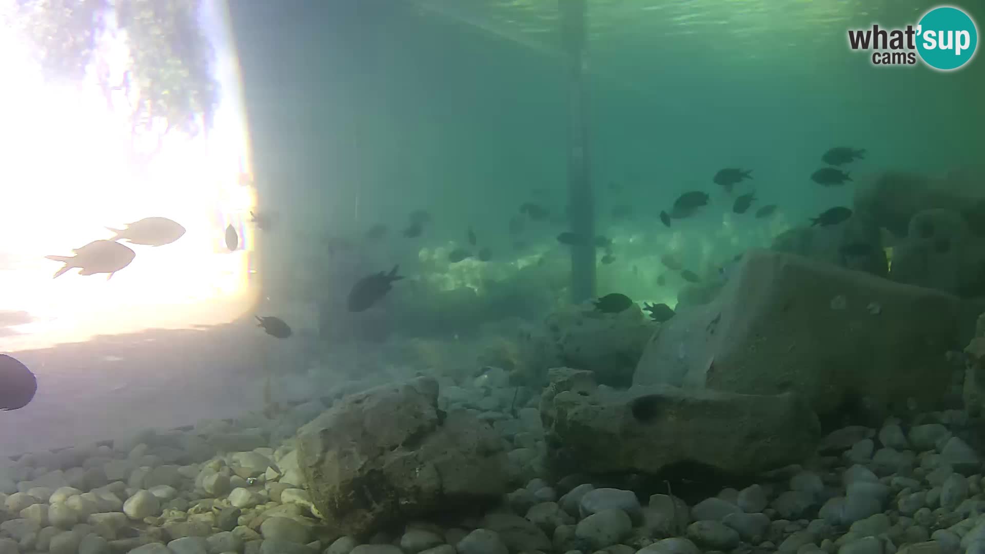 Outdoor Marine Aquarium Rogoznica webcam Croatia