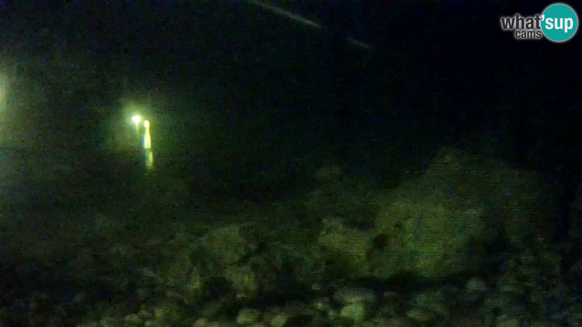 Marine Aquarium im Freien Rogoznica webcam Kroatien