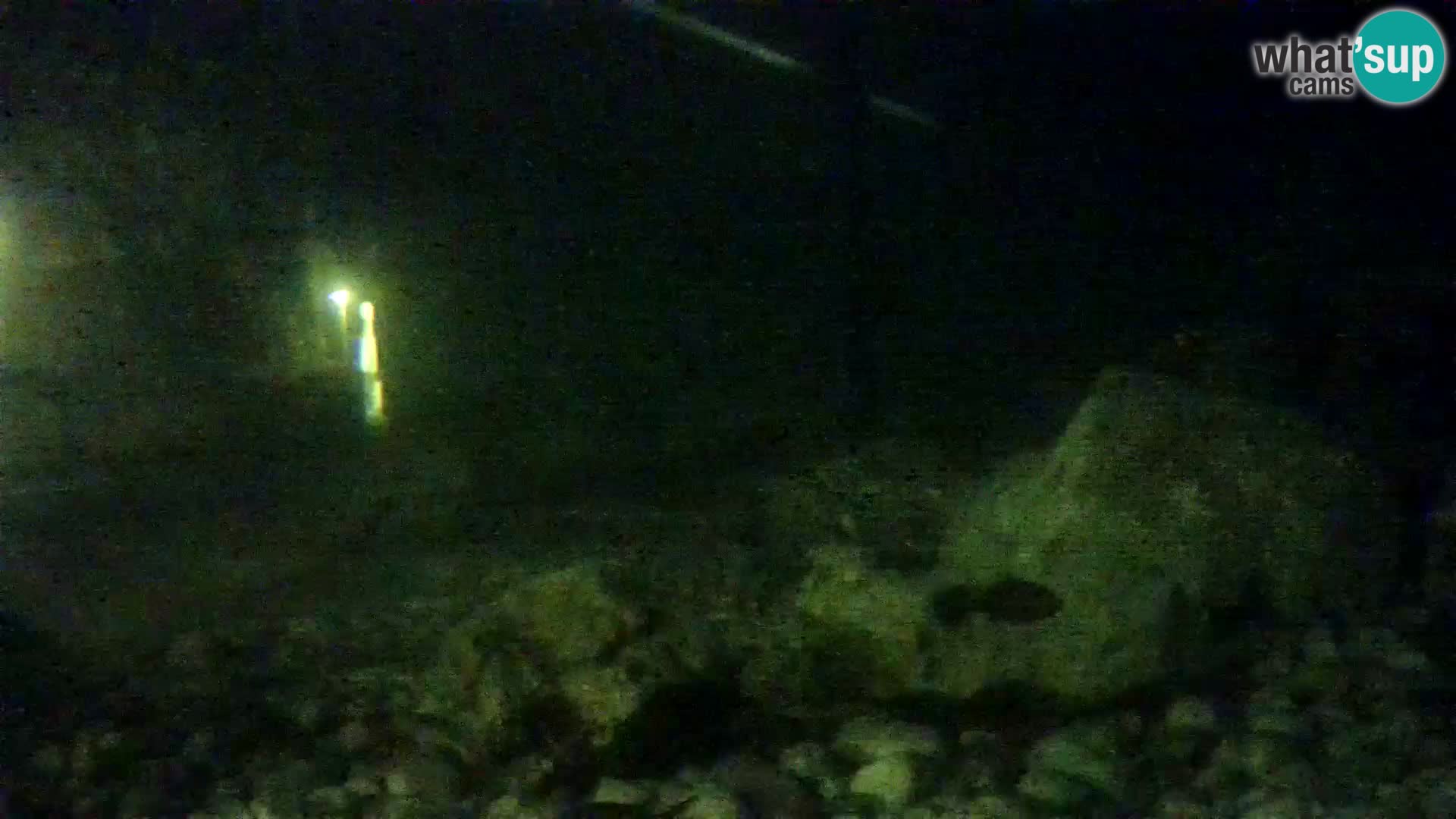 Aquario marino esterno –  Rogoznica livecam Croazia