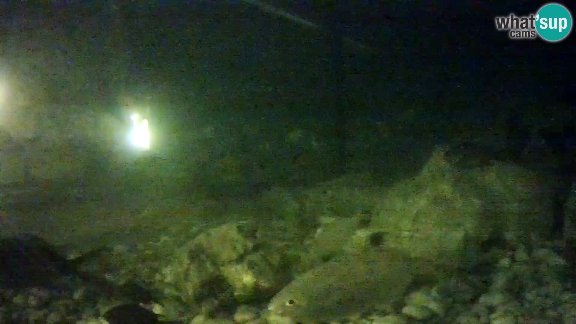 Outdoor Marine Aquarium Rogoznica webcam Croatia