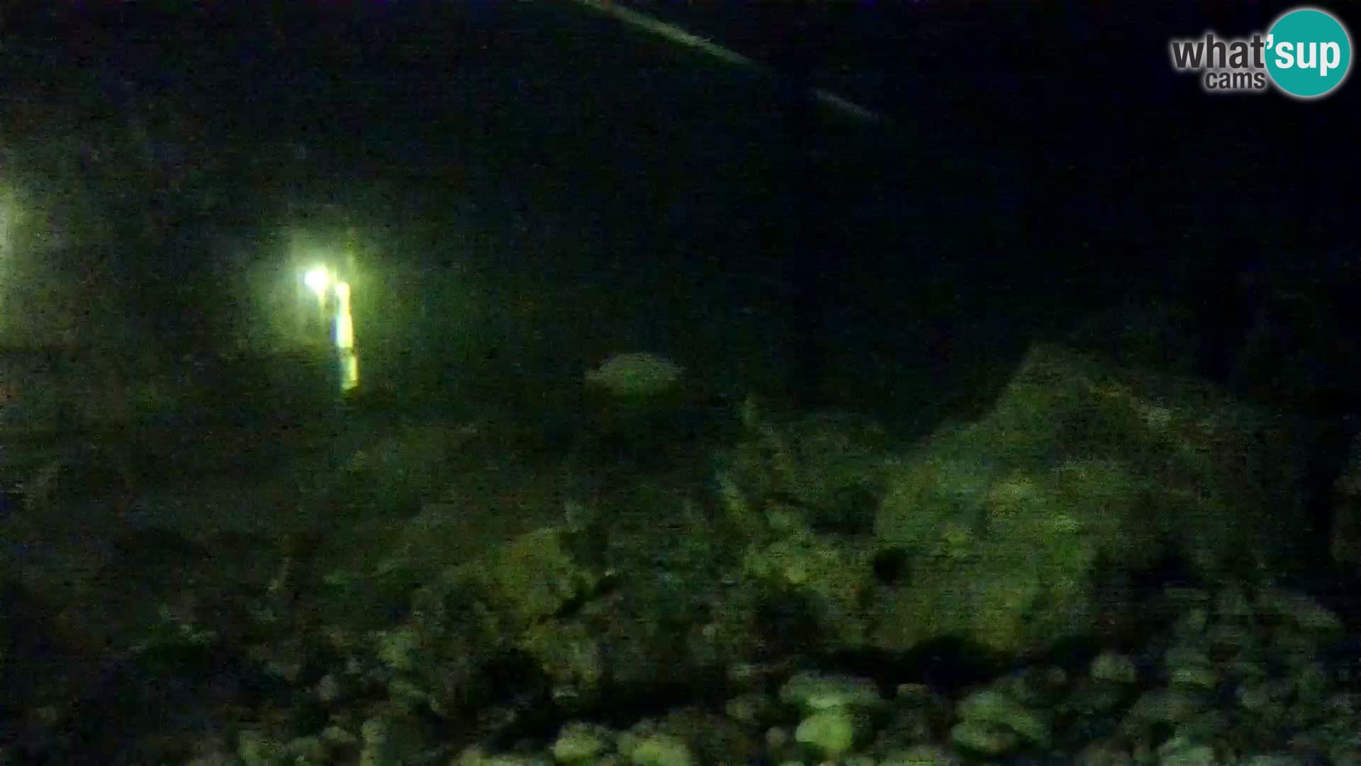 Outdoor Marine Aquarium Rogoznica webcam Croatia