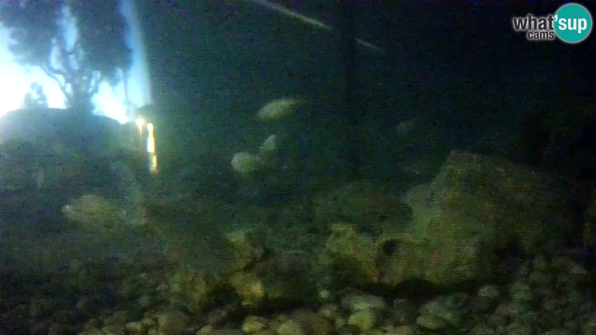 Marine Aquarium im Freien Rogoznica webcam Kroatien